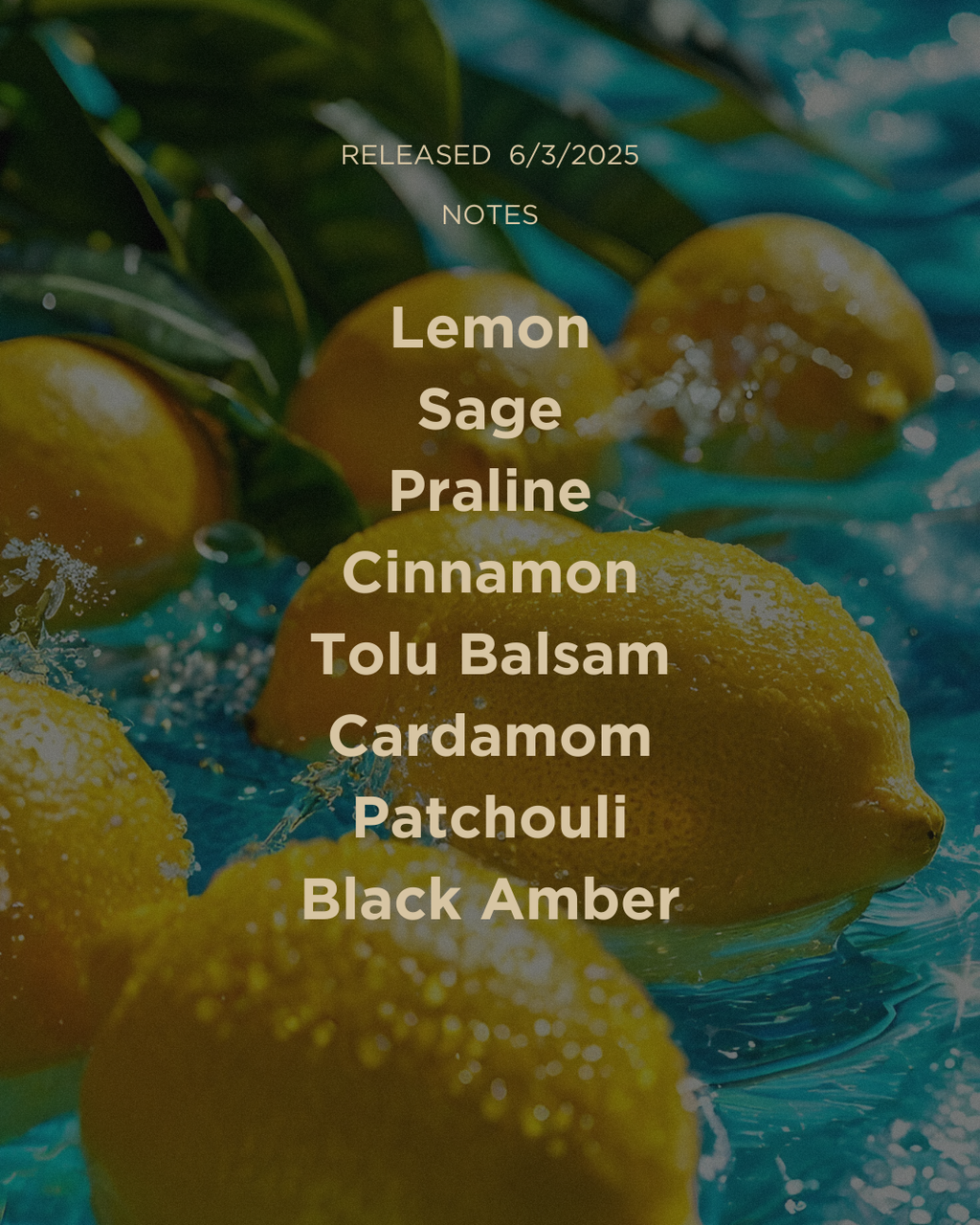 Citrusea - Versaga